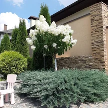 image-1-4