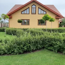 image-1-4