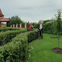 image-1-2
