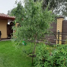 image-1-3