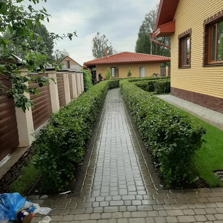 image-1-0