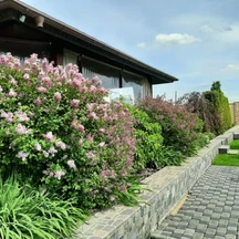 image-1-1
